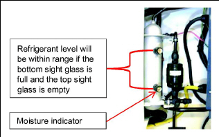 fig_sight_glass_69NT.jpg