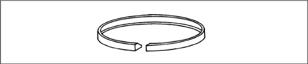 Fig_piston-ring.jpg