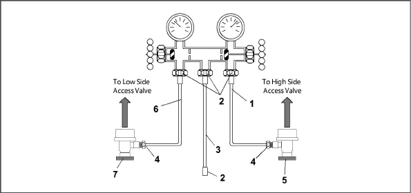 fig177_mv.jpg