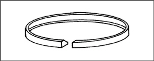 Fig_piston-ring.jpg