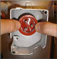 fig144_uv.jpg