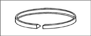 Fig_piston-ring.jpg